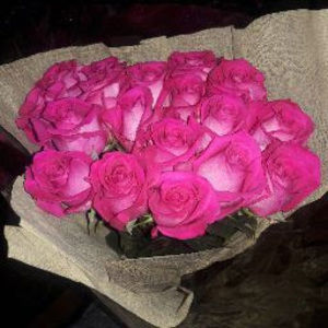 Meet your Posher, Sheena